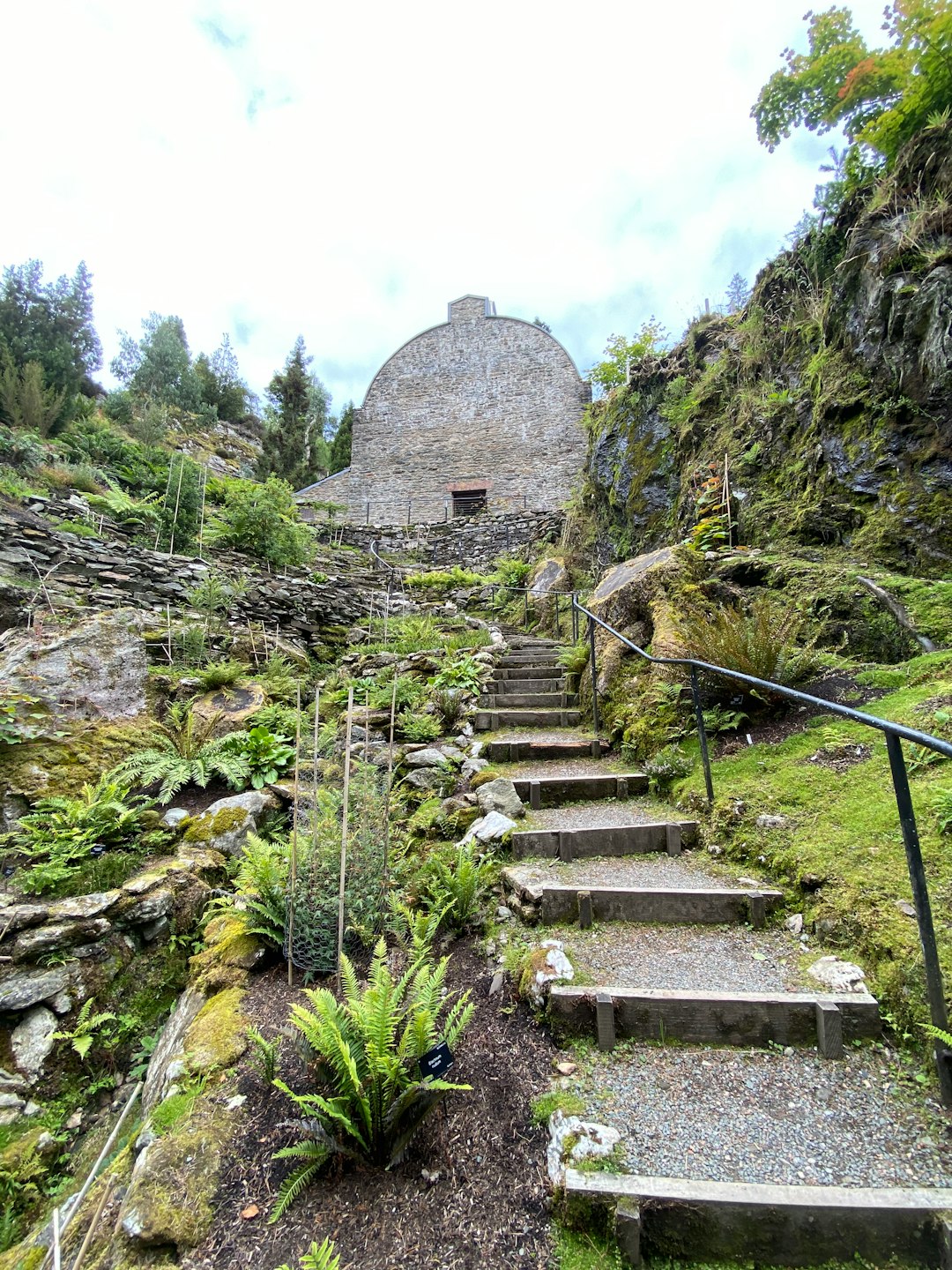 Jungle photo spot Argyll Forest Park Scotland