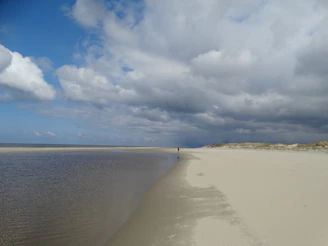 A wide beach landscape with crashing waves and a lone traveler walking along the shore, framed by soft teal accents in the sky.