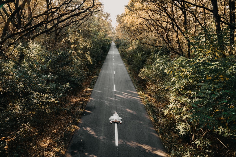 gray concrete road between green trees during daytime