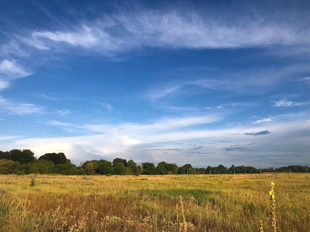 green grass field under blue sky during daytime