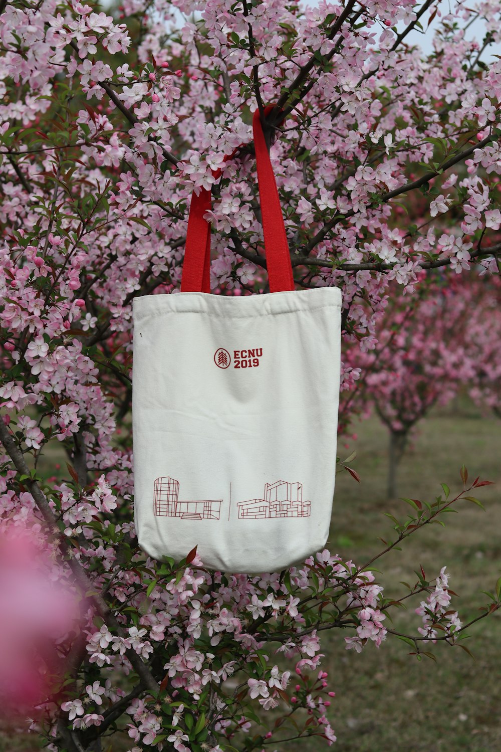 white and red tote bag hanged on red rope