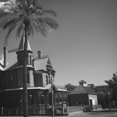 A large, historic house with Gothic-style architecture featuring pointed roofs and intricate detailing. A tall palm tree stands prominently in the foreground, and a smaller building is visible nearby. The scene is in black and white, giving a vintage or timeless feel.