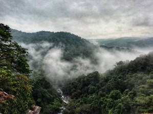 Dudhsagar Waterfalls Goa Holidays
