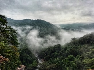 dudhsagar waterfall: Hidden Gems in Goa