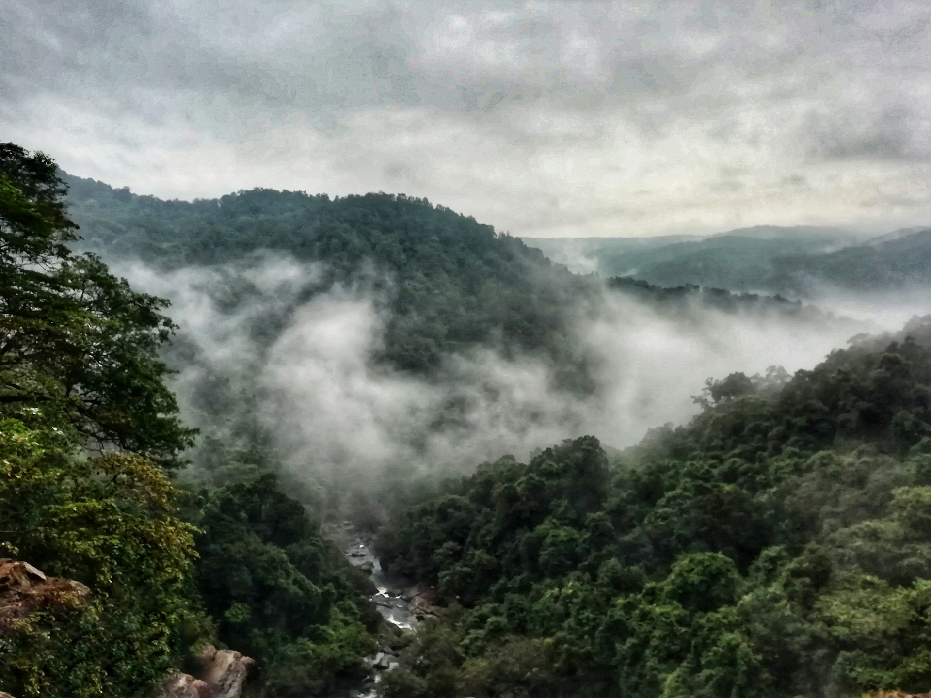 green trees on mountain under white clouds during daytime