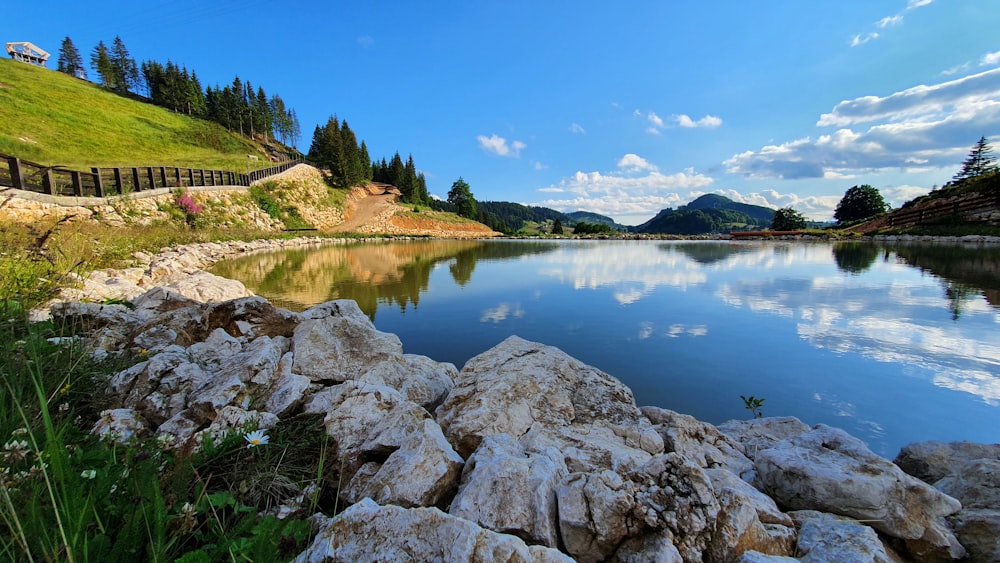 green trees near lake under blue sky during daytime