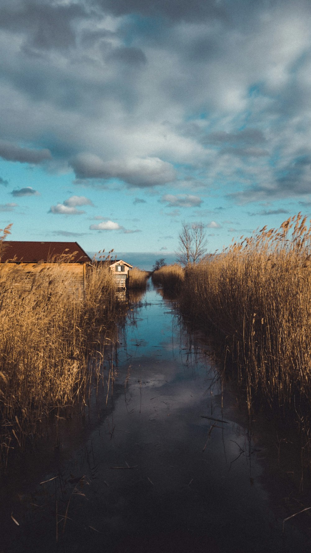 Maison en bois brun près de l’herbe brune sous un ciel nuageux pendant la journée