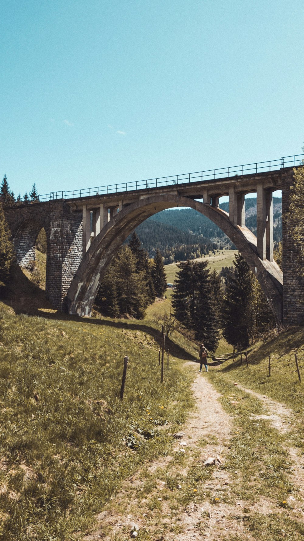 日中の緑の草原に架かる灰色のコンクリート橋
