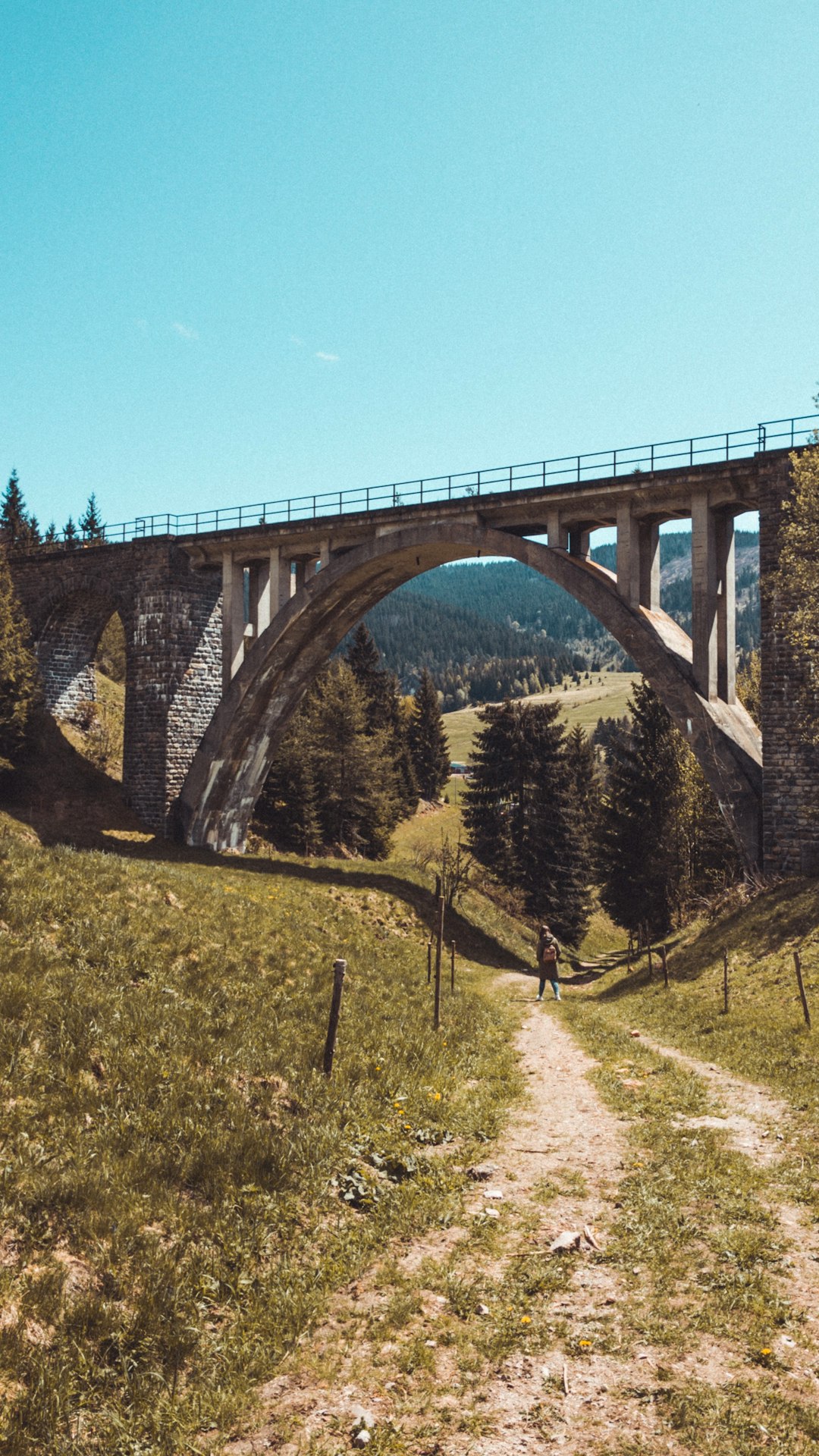 Bridge photo spot TelgÃ¡rt Walkway canopy Bachledka