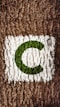 Cocorech logo