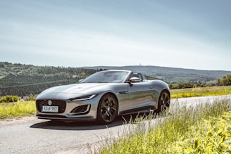 black mercedes benz coupe on green grass field during daytime