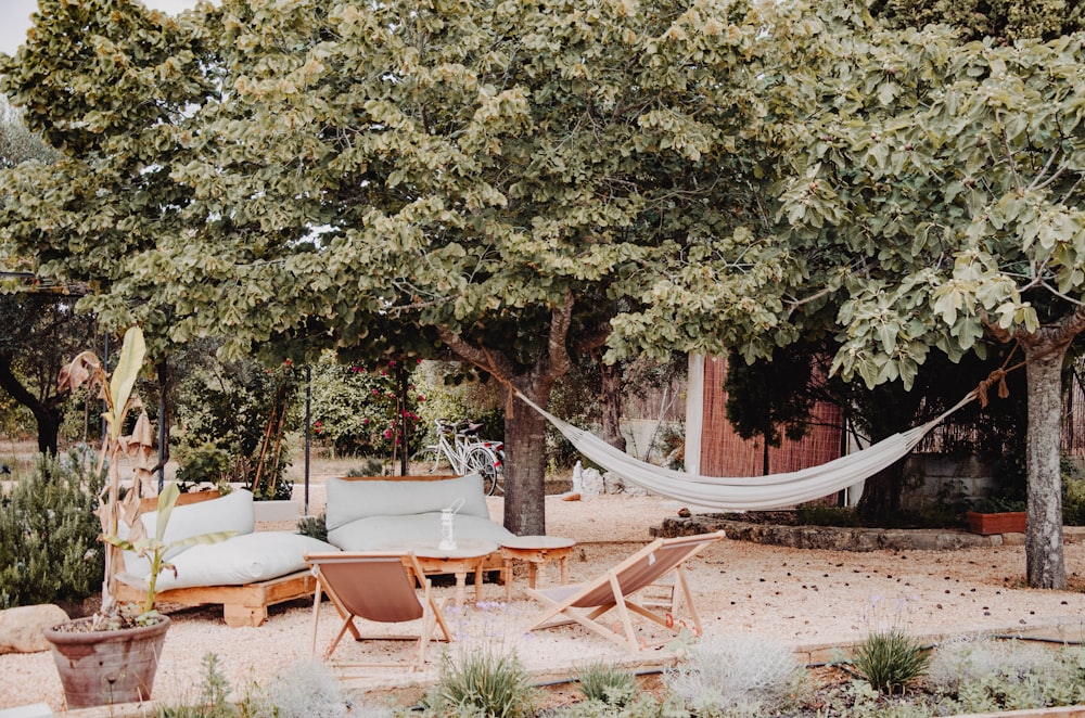 white and brown wooden outdoor lounge chairs near green trees during daytime