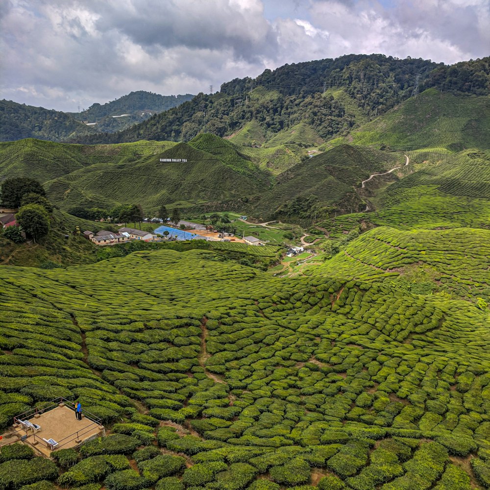 green mountains under white sky during daytime