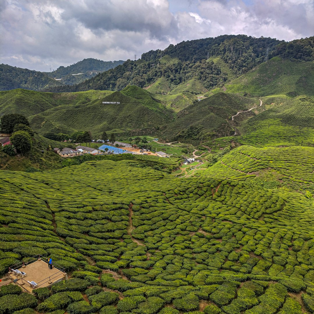 travelers stories about Hill station in Cameron Highlands, Malaysia