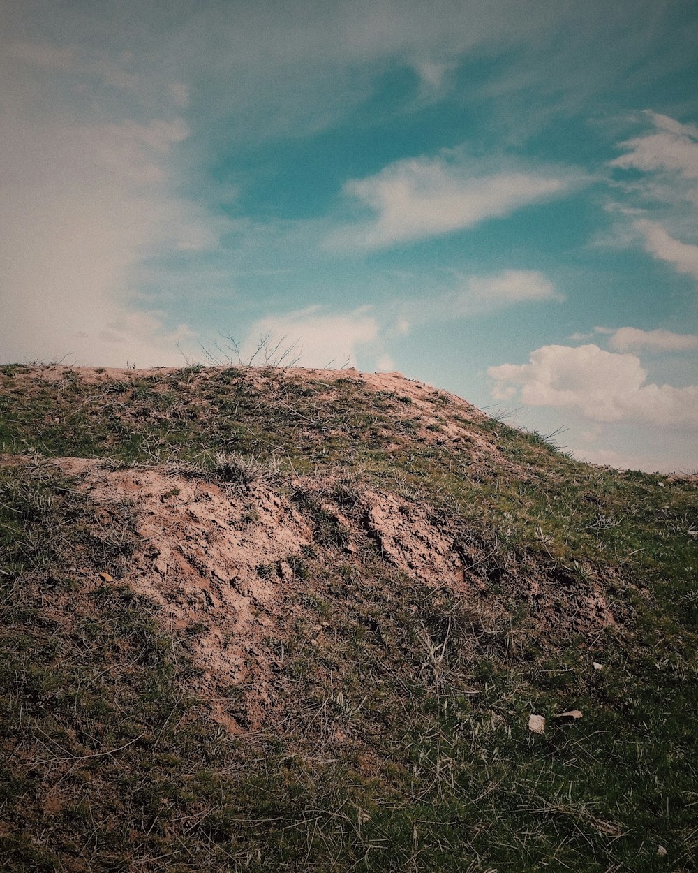 Campo de hierba marrón bajo el cielo azul durante el día