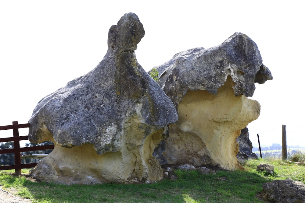 gray and white rock on green grass field