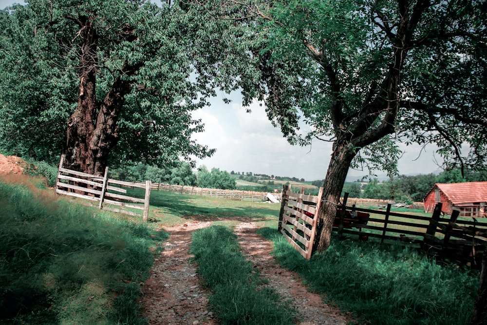 Campo de hierba verde con valla de madera marrón