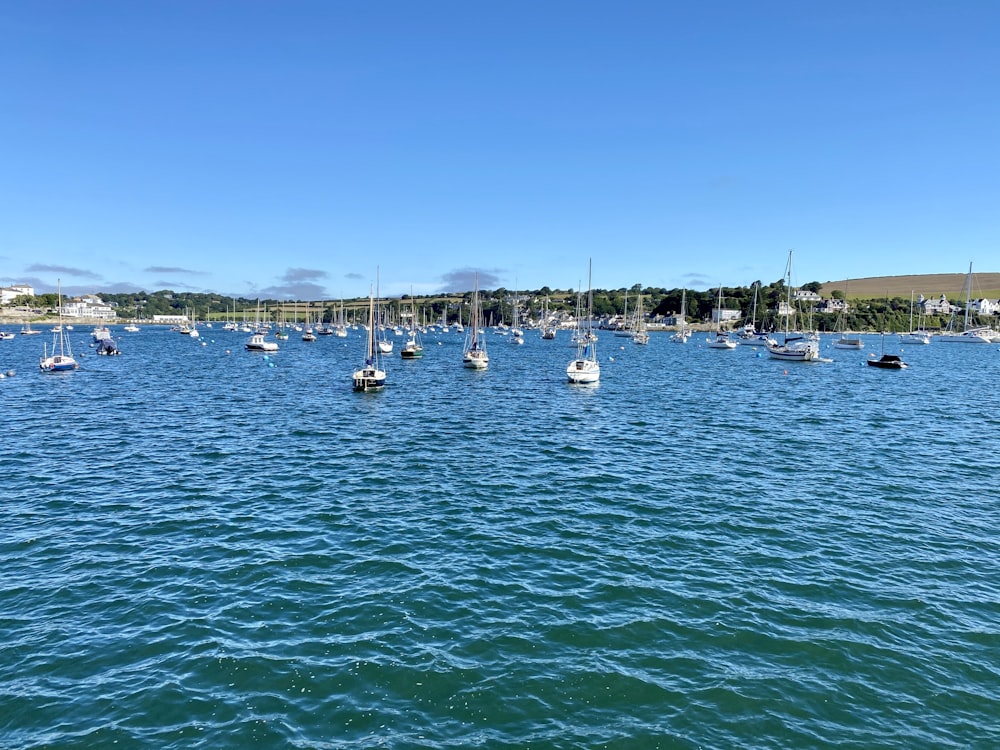 people riding on white boat on sea during daytime