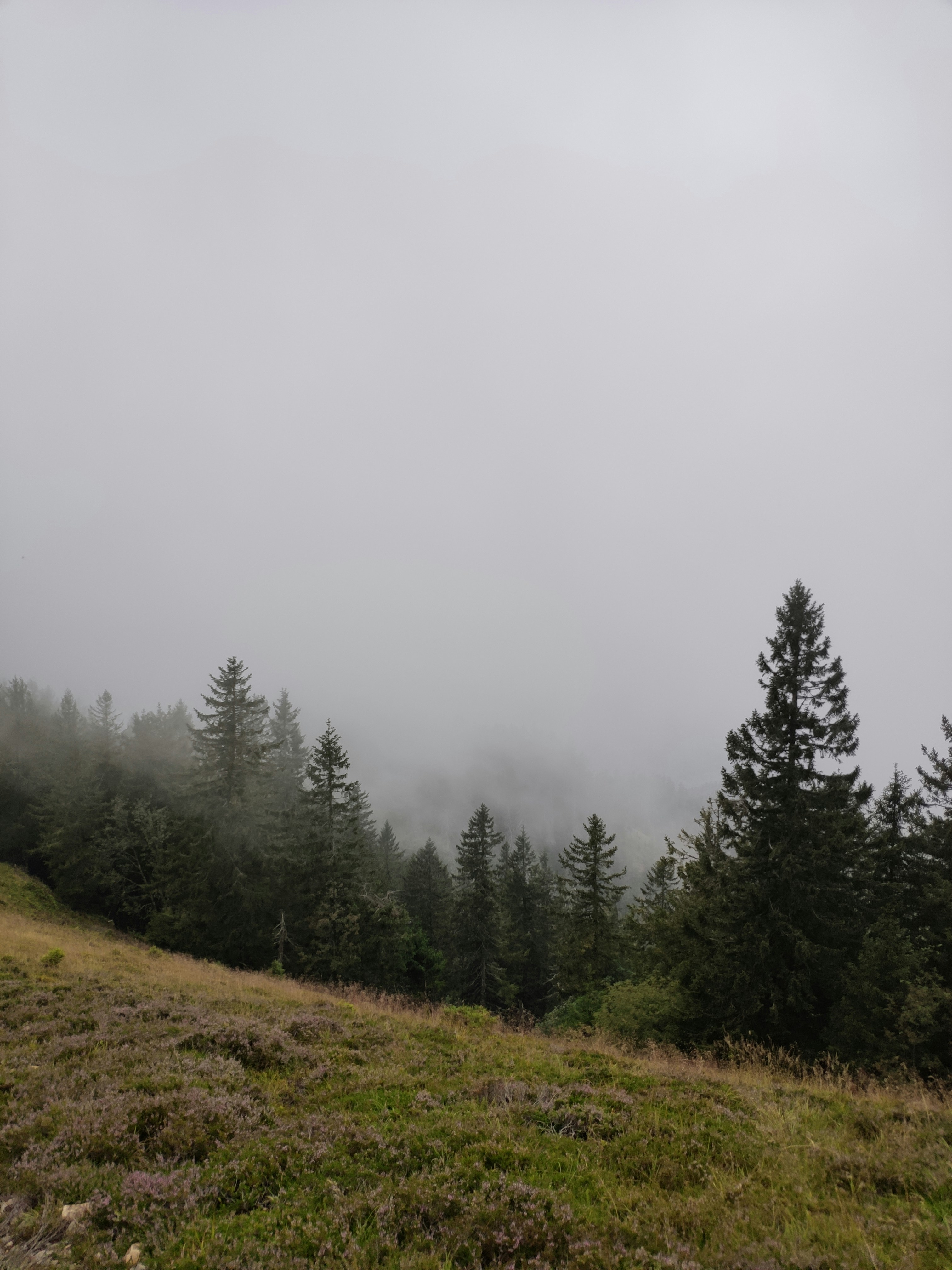 Photo by jakobschellhammer