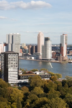 city skyline near body of water during daytime