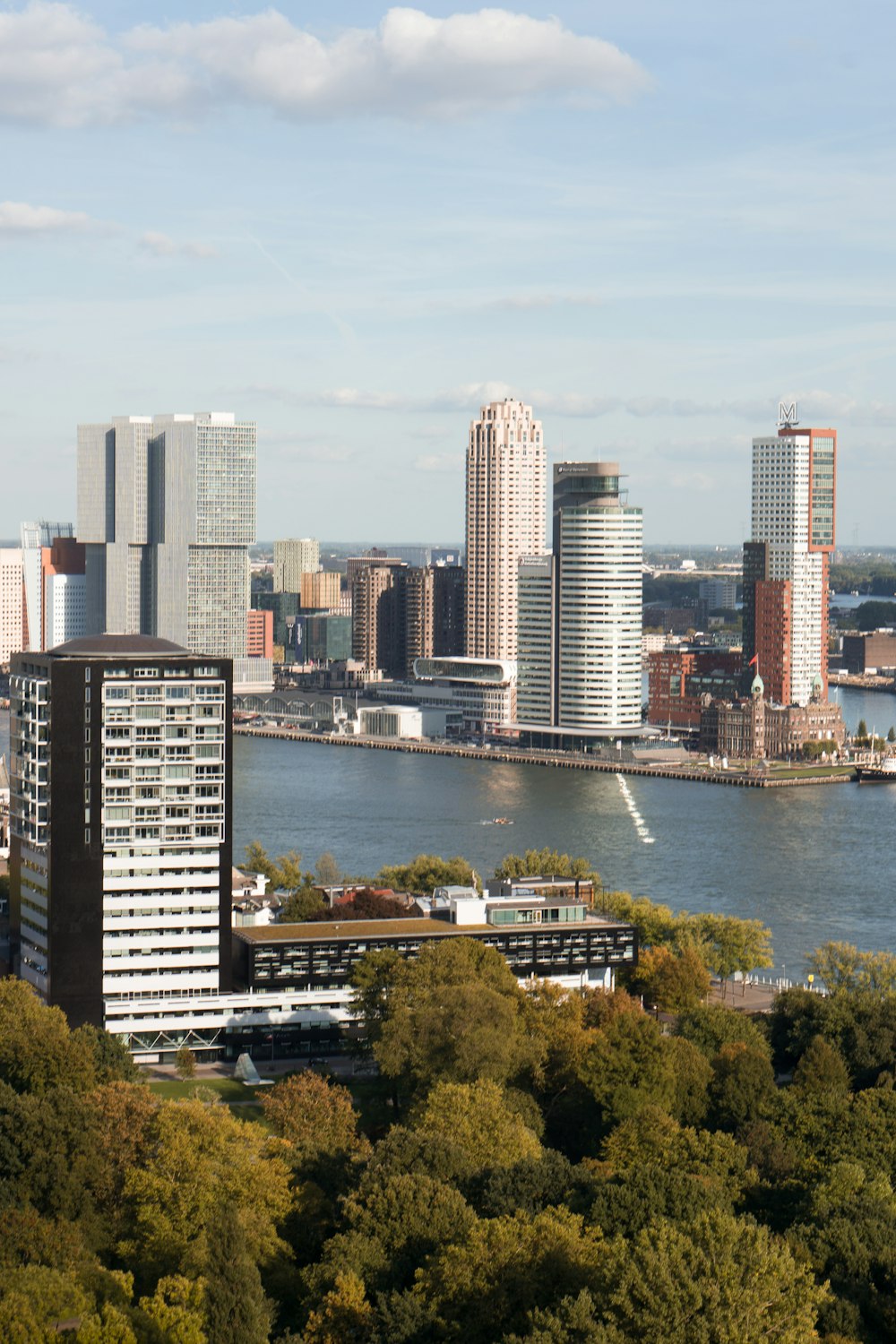 Skyline de la ville près d’un plan d’eau pendant la journée