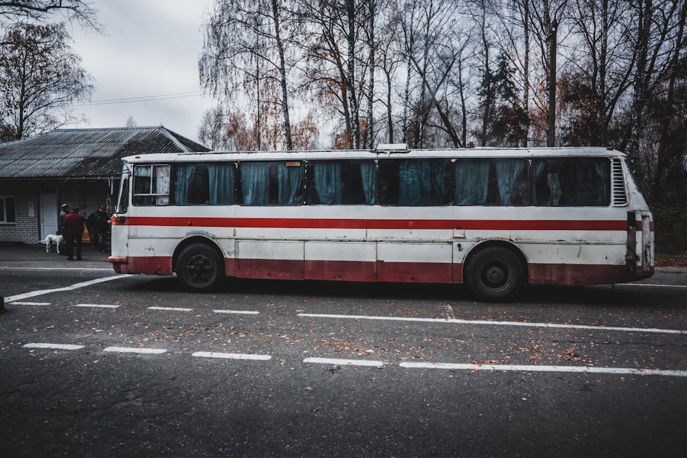 white and red bus on road during daytime