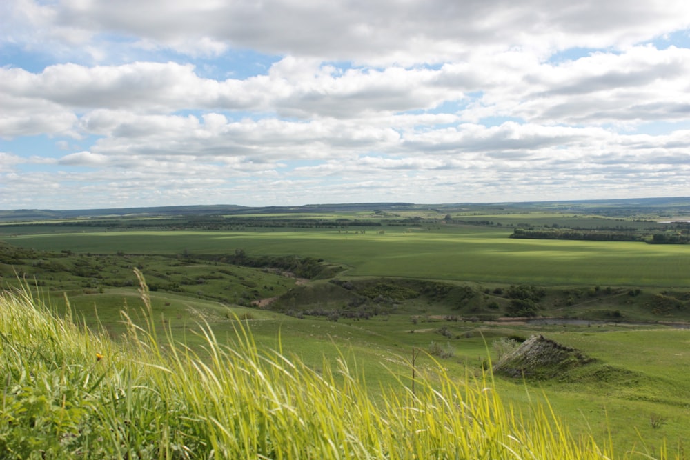 green grass field under white clouds during daytime