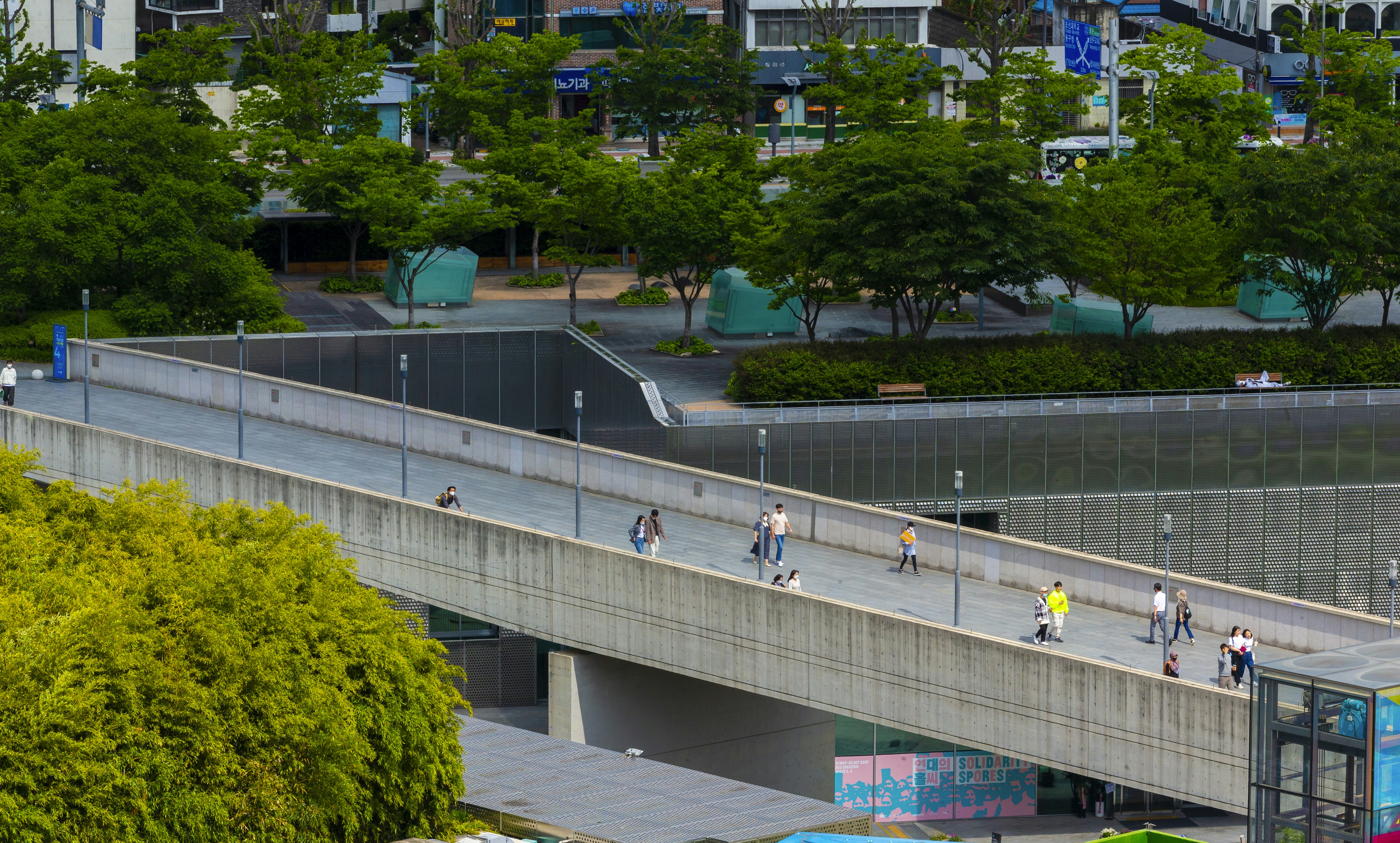people walking on sidewalk near green trees during daytime refined teams background