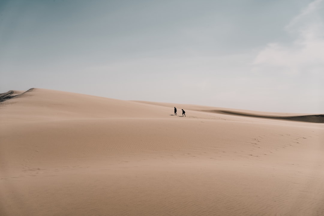 person walking on brown sand during daytime