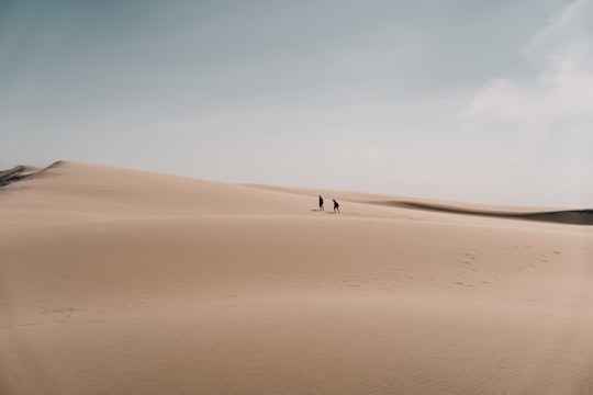 person walking on brown sand during daytime in Dune du Pilat France