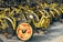 A large cluster of yellow rental bicycles with black handlebars is tightly packed together. The front wheel of each bike is covered with a red circular plate displaying white text, with some writing visible. They are parked on a paved surface.