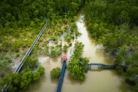 An aerial view of a lush, green mangrove forest intersected by winding waterways. Wooden boardwalks extend over the water, connecting different parts of the forest, providing a path for visitors. The dense foliage and muddy water create a natural and serene landscape.