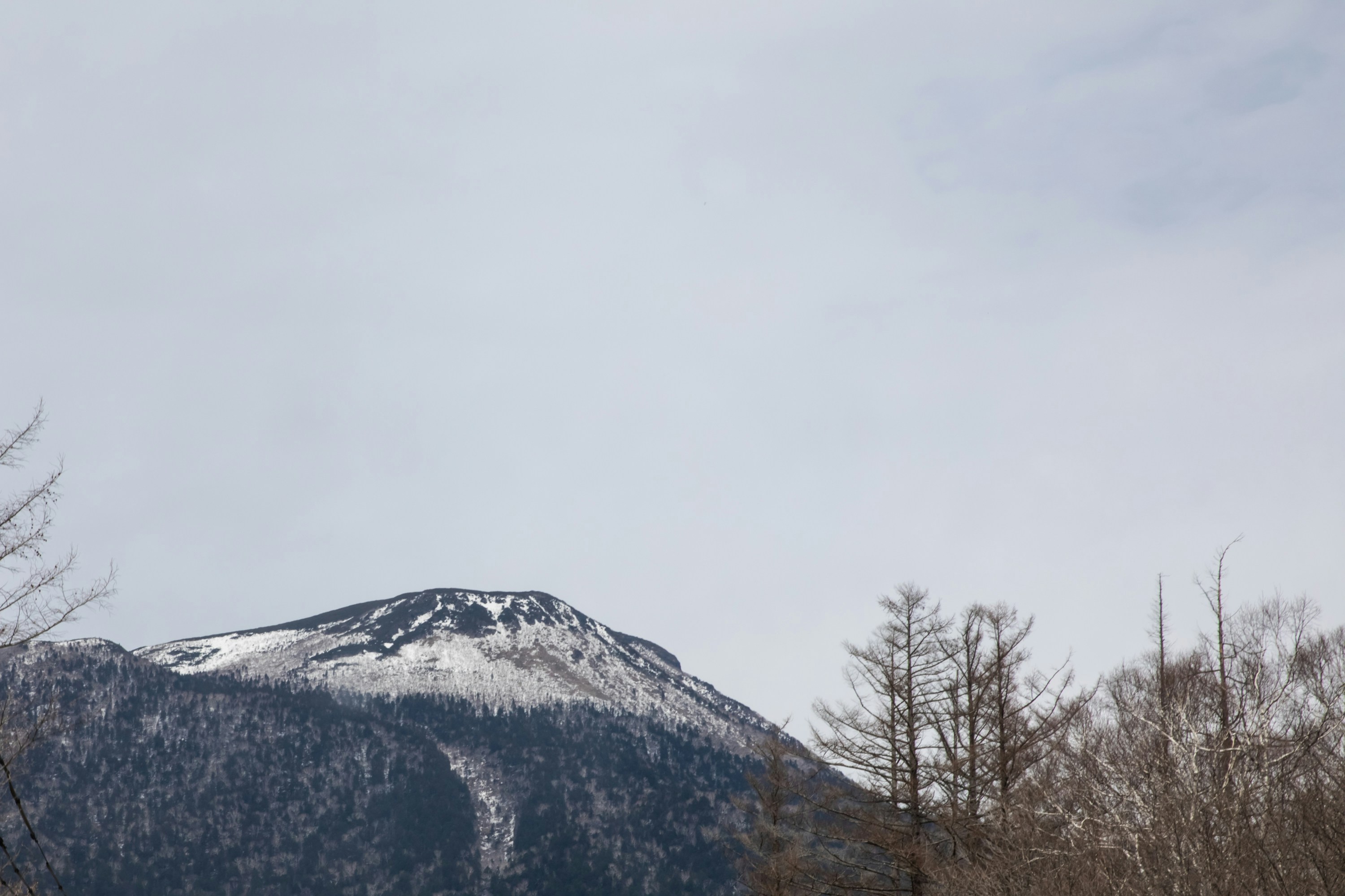 Photo by obergeron