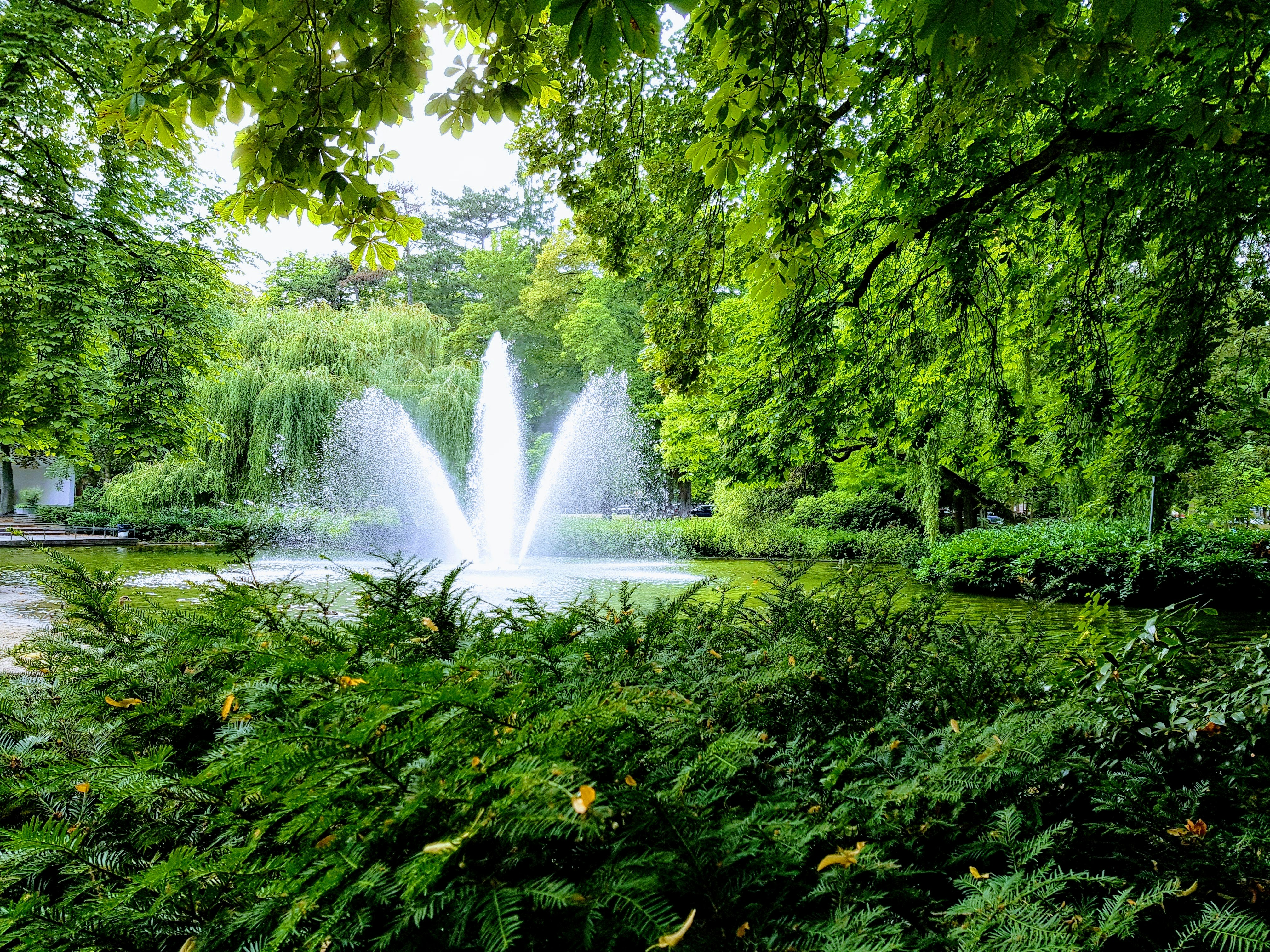 Photo by touhidrahman