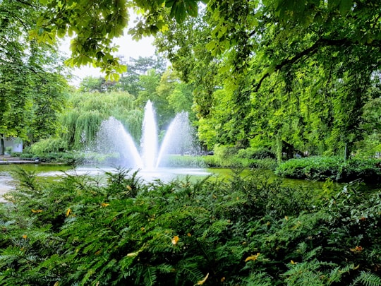 water fountain in the middle of green trees in Bad Godesberg Germany