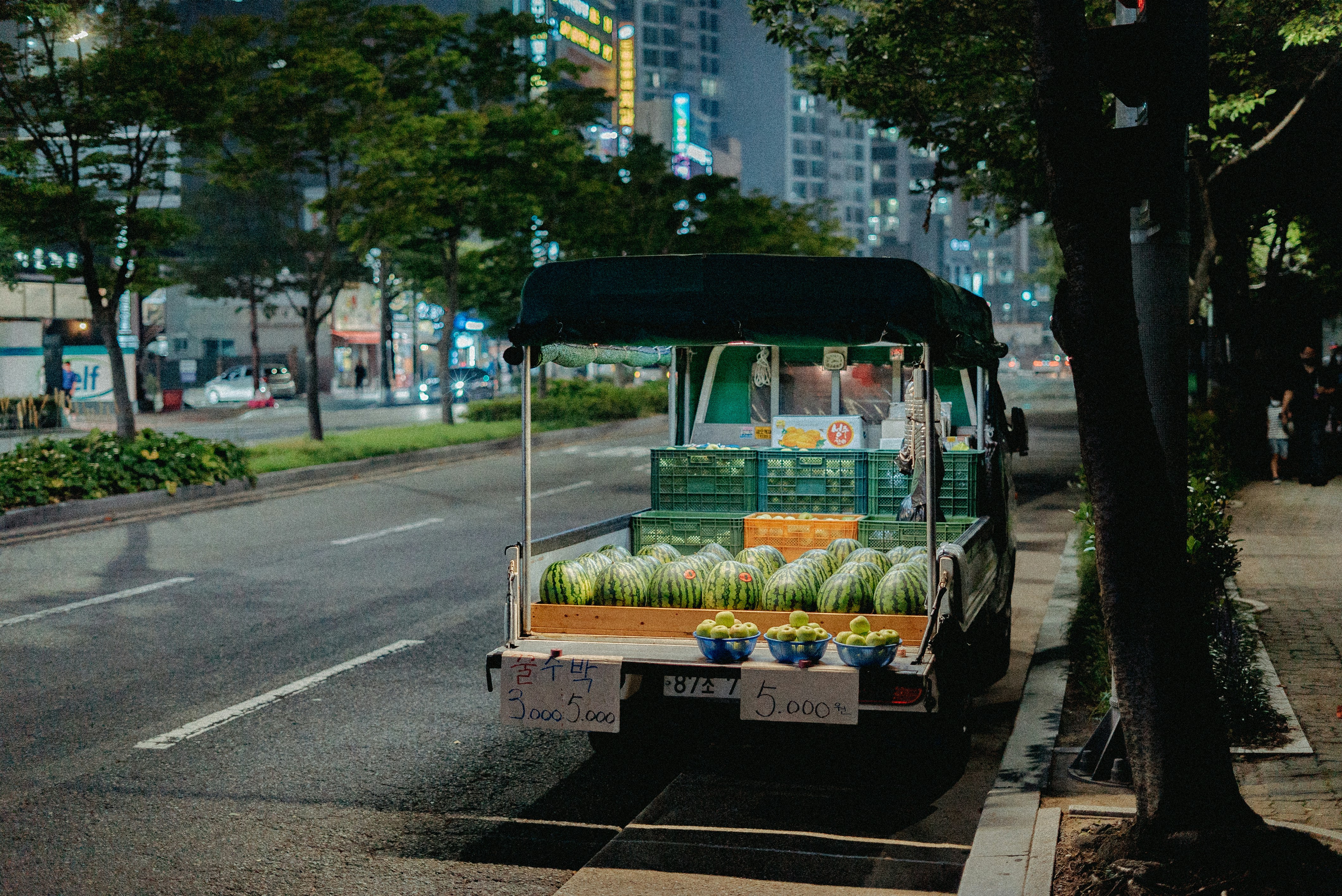 Best Cherry Blossom Spots in Korea