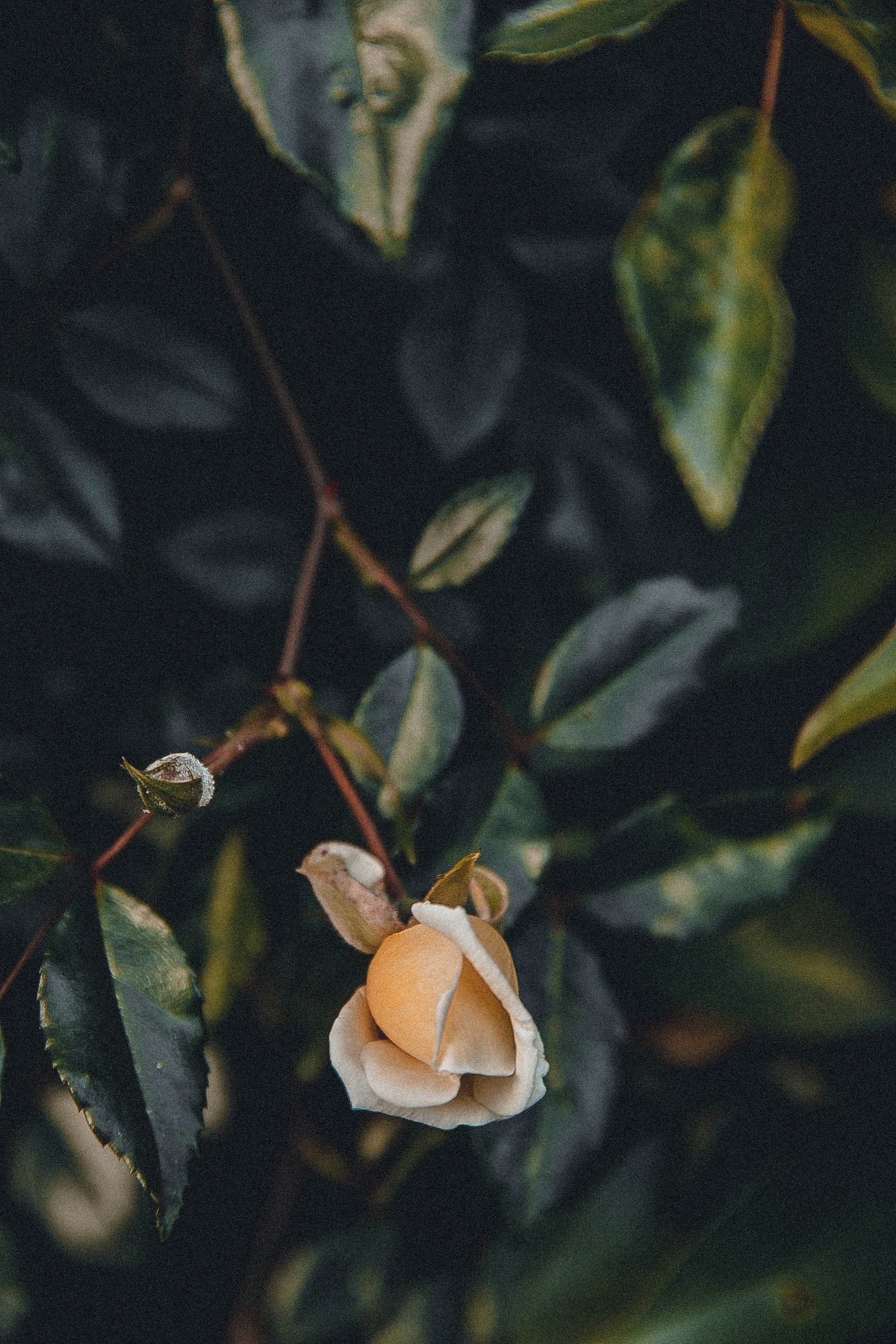 Photo by anna_safronova