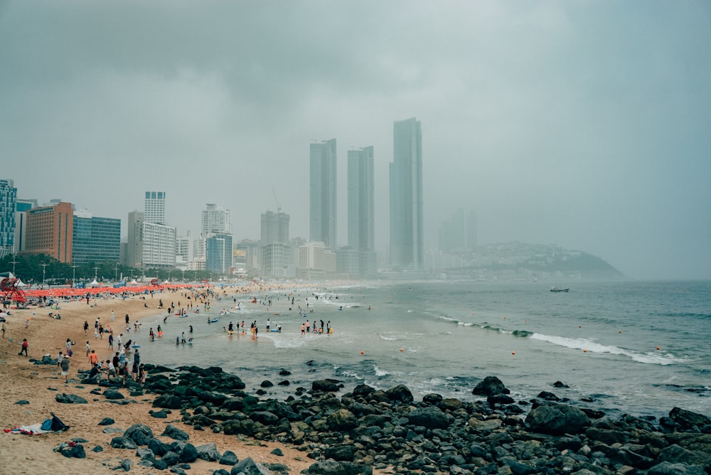 people on beach during daytime