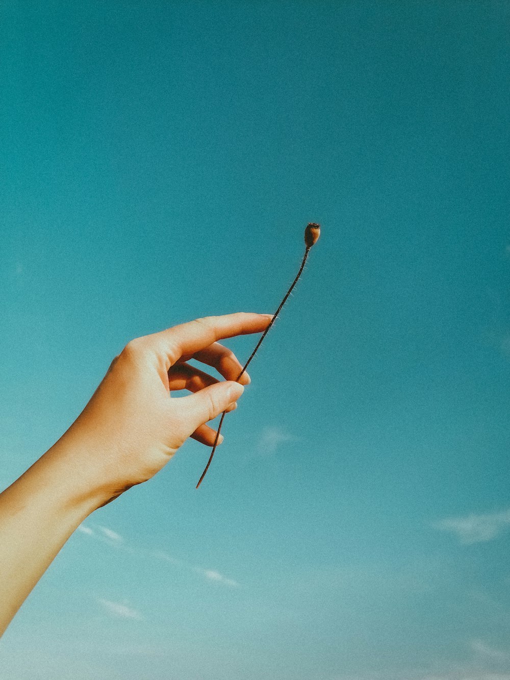 person holding black coated wire