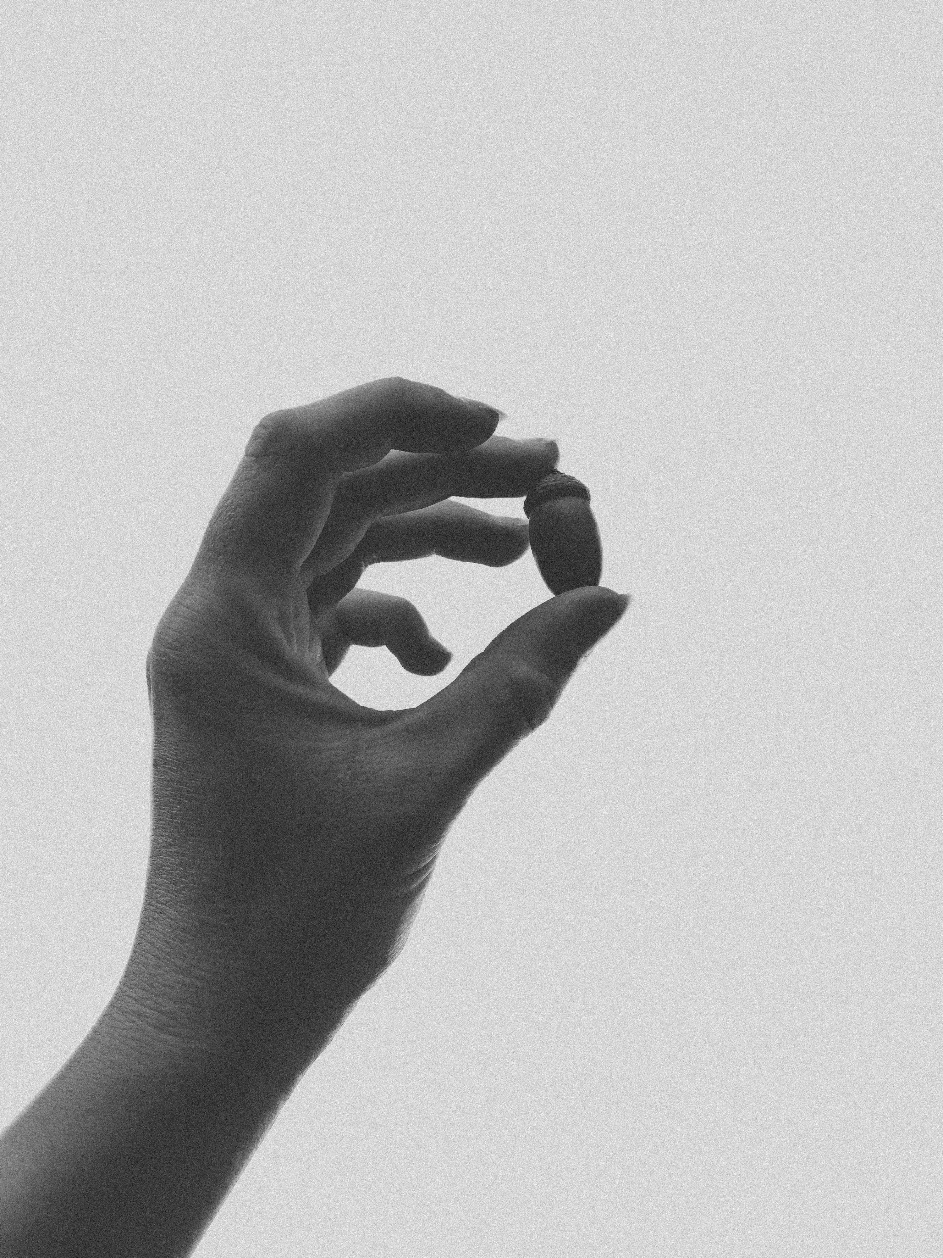 Photo by sindy_suessengut