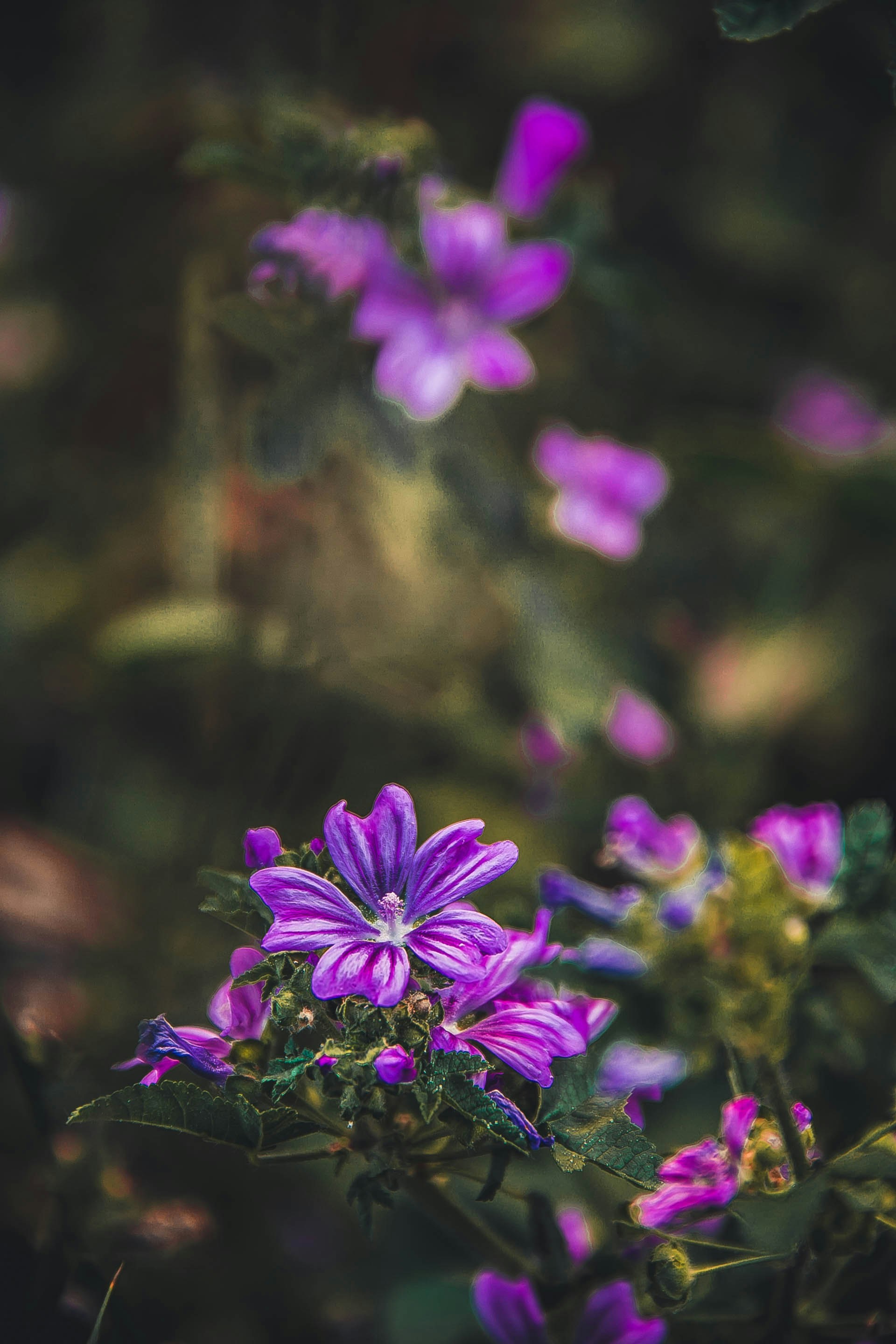 Photo by anna_safronova