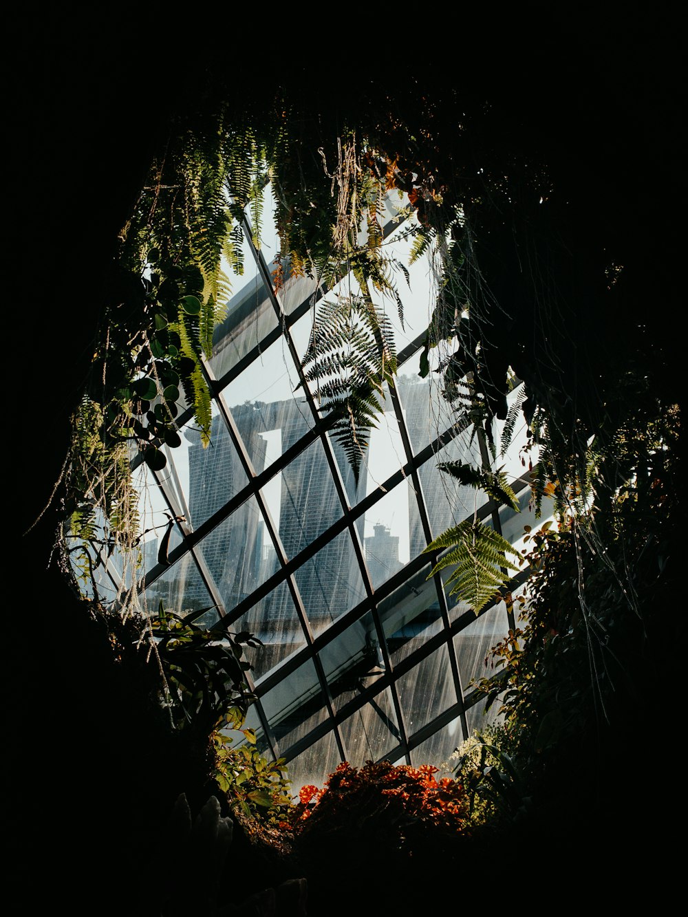 green and brown trees inside building