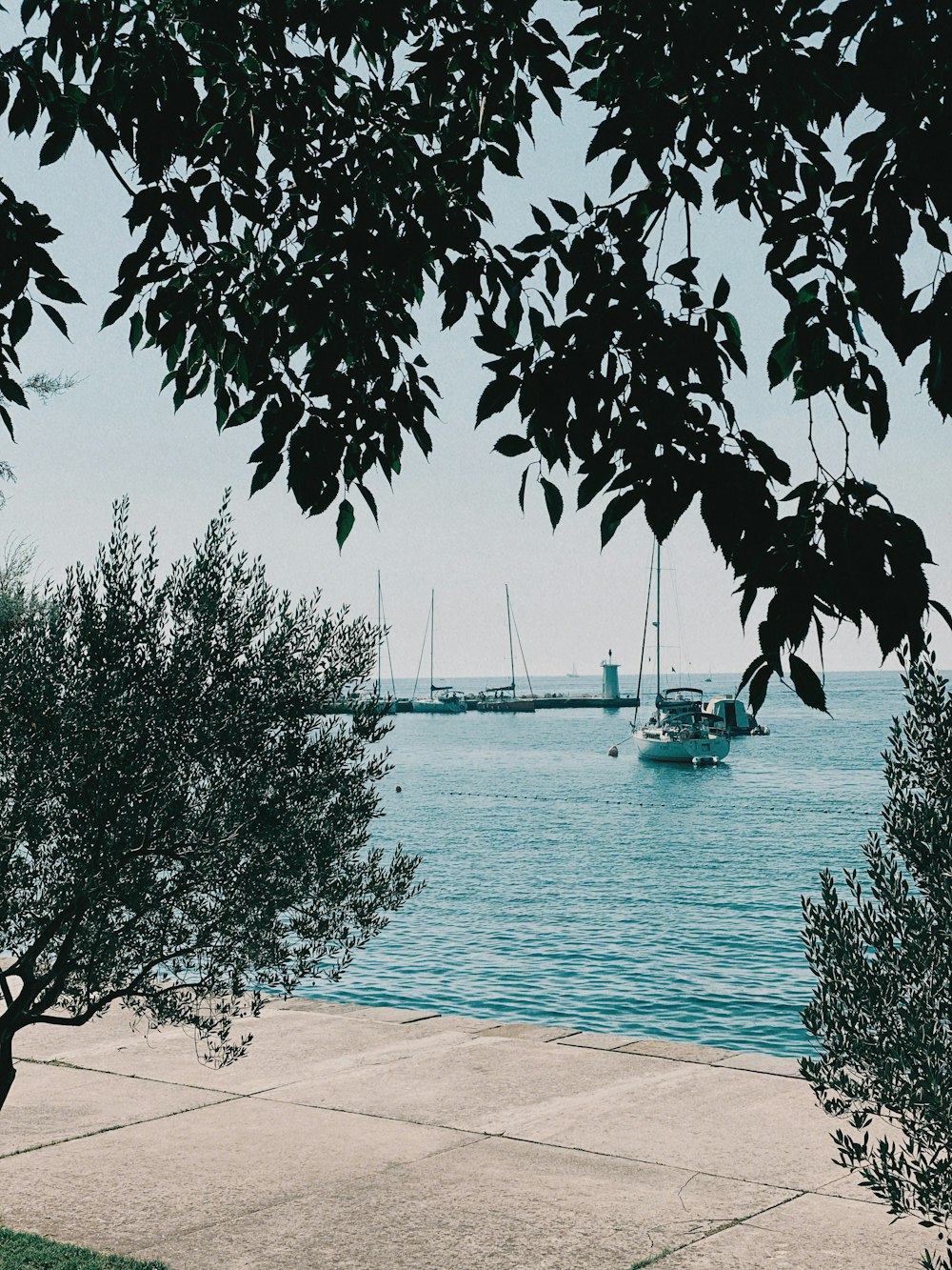 white boat on water near trees during daytime