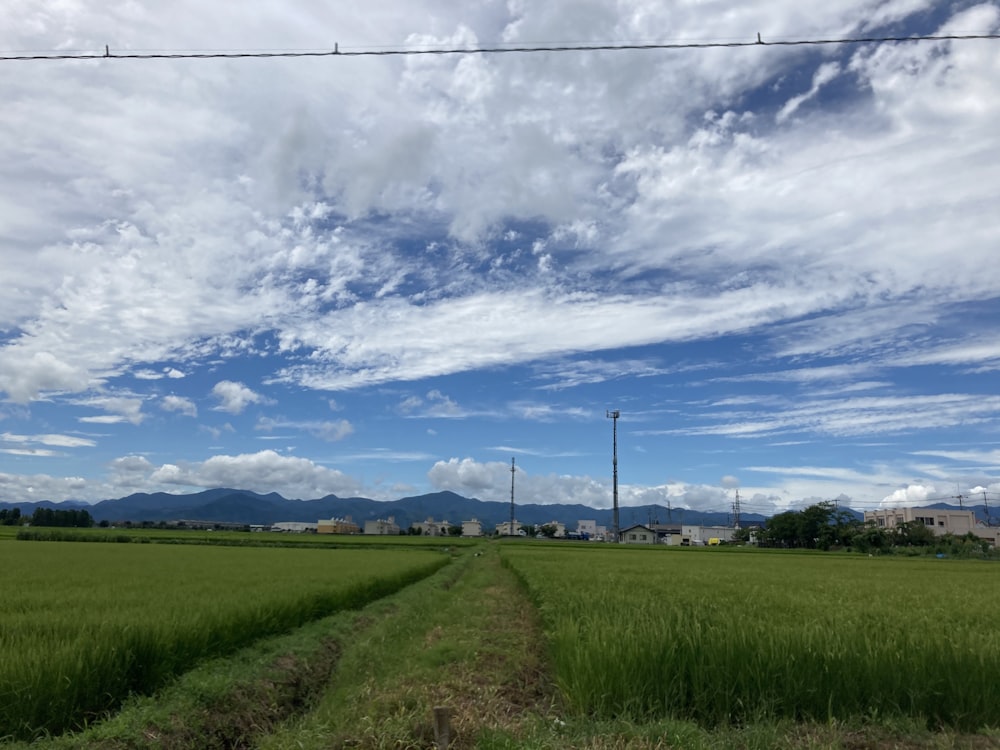 green grass field under white clouds and blue sky during daytime