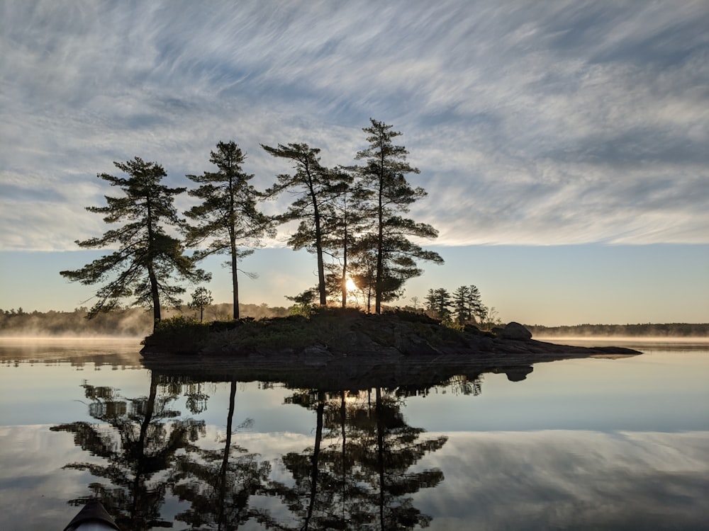 trees on island surrounded by water under white clouds