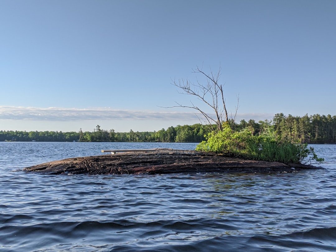 River photo spot Big Cedar Lake Bobcaygeon