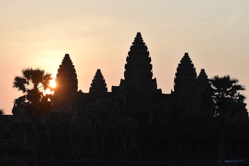Golden sunset behind ancient temples in Cambodia with silhouettes of palm trees
