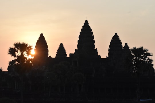 silhouette of trees during sunset in Angkor Wat Cambodia