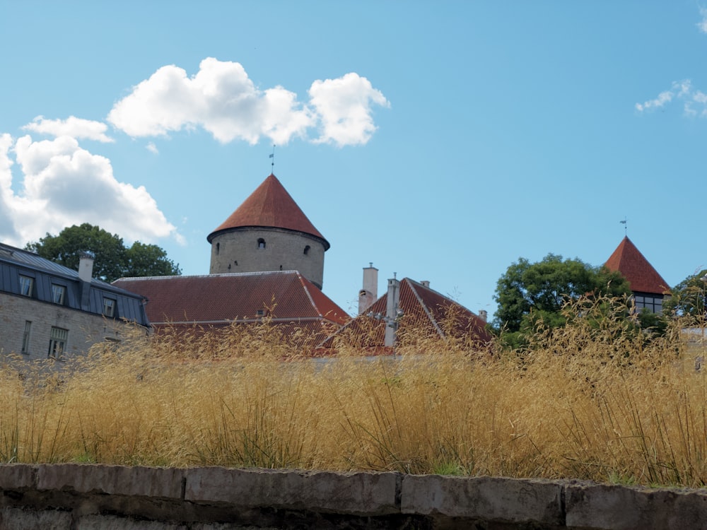 brown concrete building near green grass field under blue sky during daytime