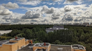 Urban landscape featuring an expansive view of a green forest bordered by a line of high-rise buildings in the distance. The foreground includes rooftops of buildings with visible air conditioning units. The sky is partly cloudy, with a mix of blue skies and large fluffy clouds.